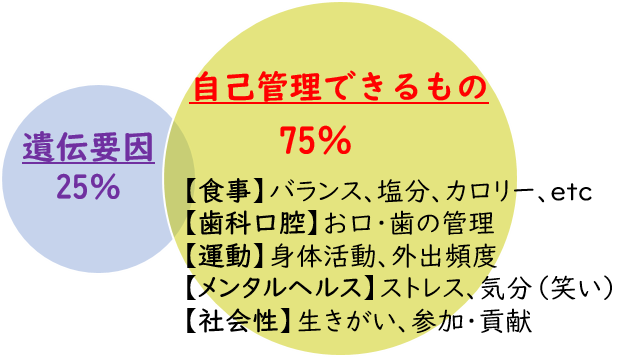 長寿に与える要因の図