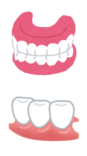 入れ歯・部分入れ歯のイラスト