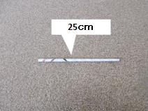 細長い紙の棒に「25センチメートル」と補足が書かれている写真