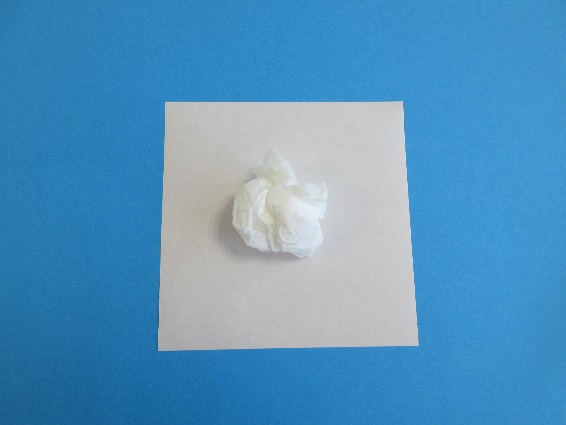白い紙の上に丸められたティッシュが置かれている写真