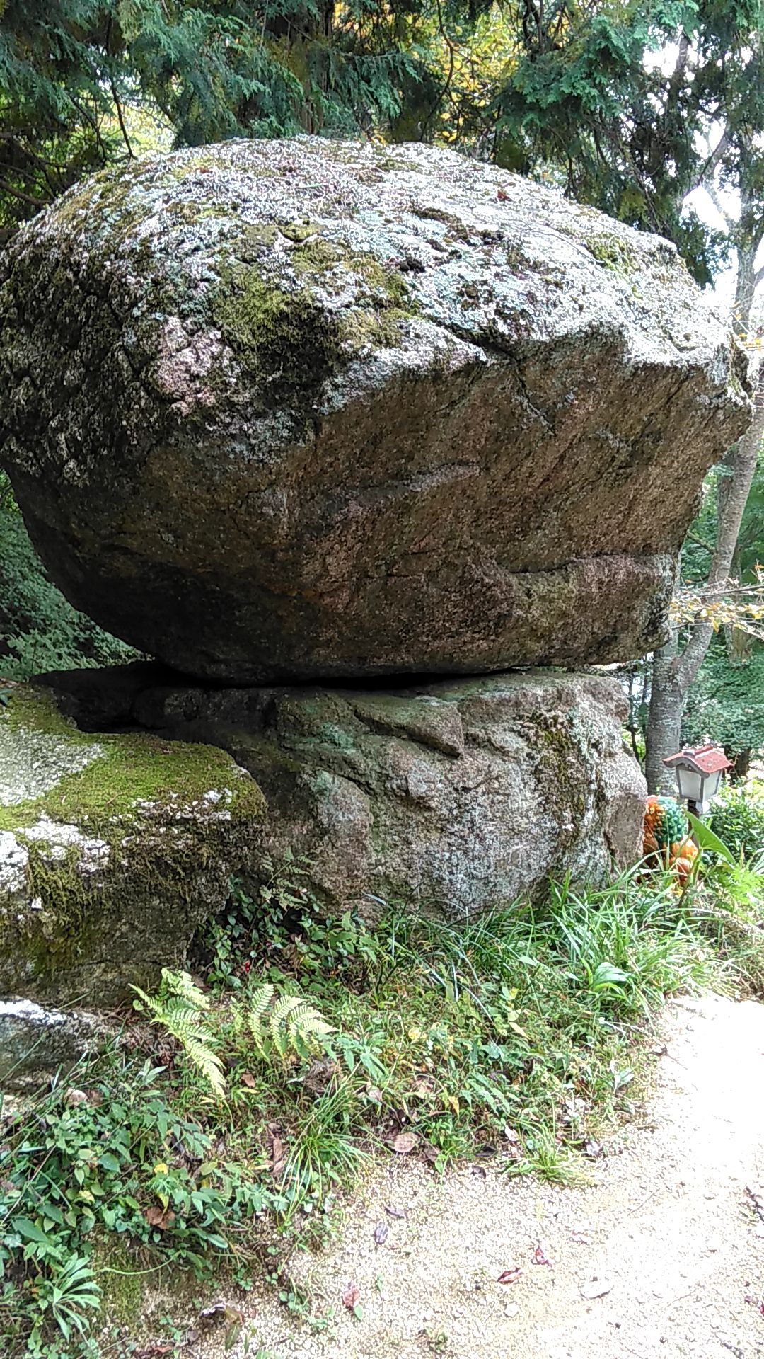 平らな岩の上にのっている、苔むしたゆるぎ岩の写真