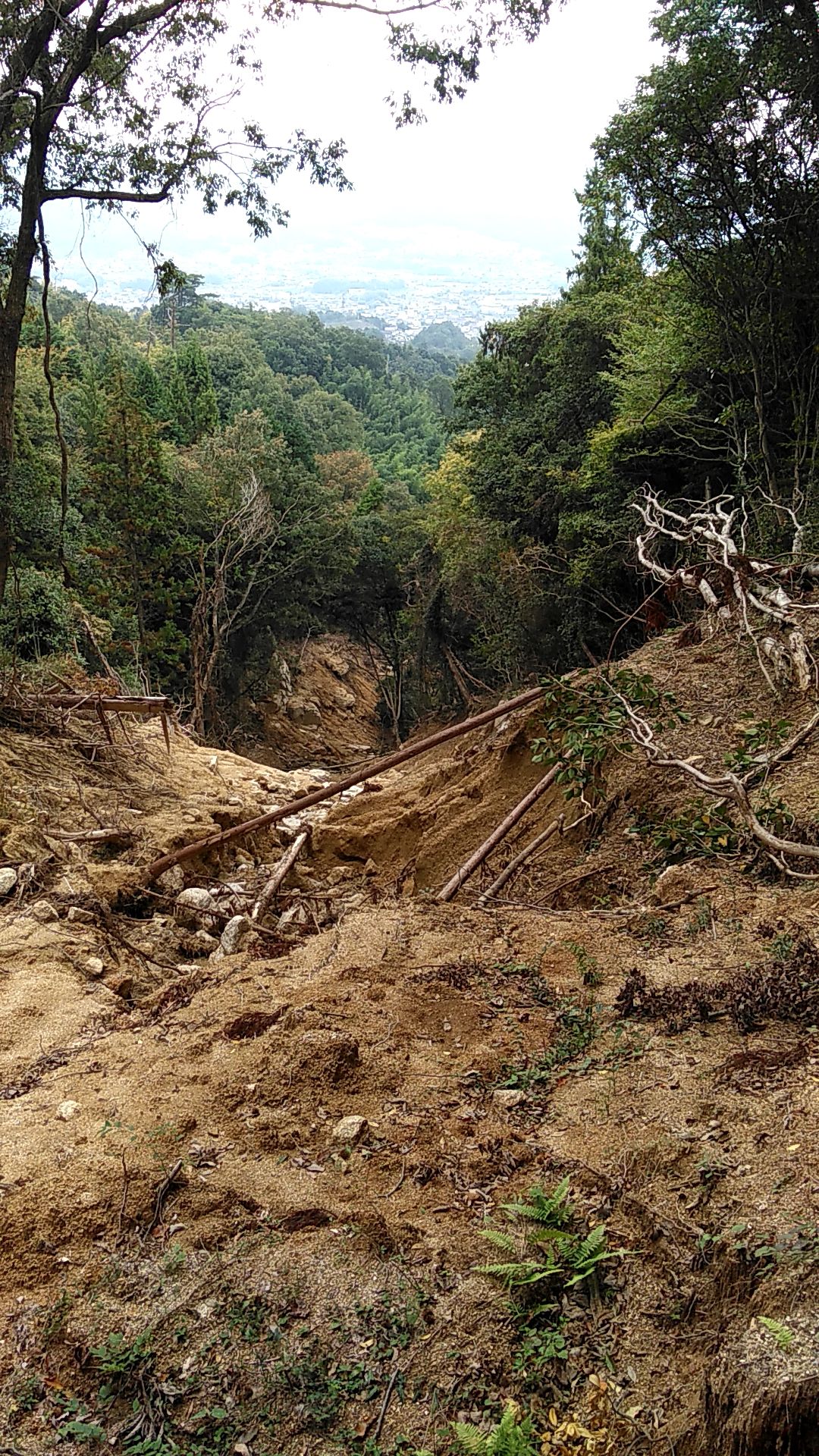 崩れた土砂や岩をを崖上から見下ろした写真