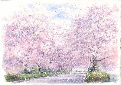 桜並木 野村重在