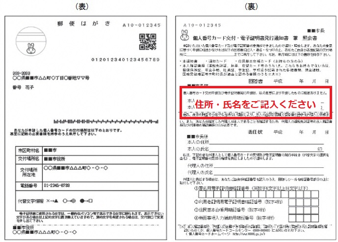 マイナンバーカード交付通知書の見本