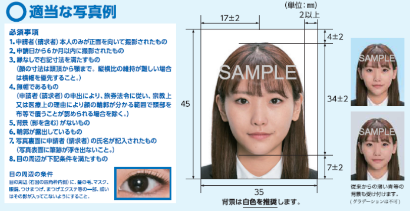 写真例を示した説明図