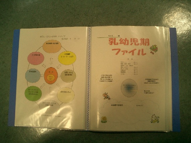 乳幼児期ファイル、フローチャートなどの記載があるサポートファイルの写真