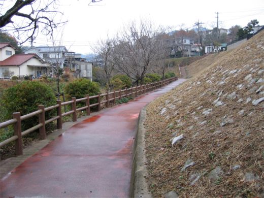 斜面の中ほどを通っている石神緑地の赤い遊歩道の写真