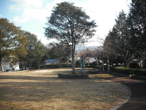 木々に囲まれており、芝生のスペースがある大年公園の写真