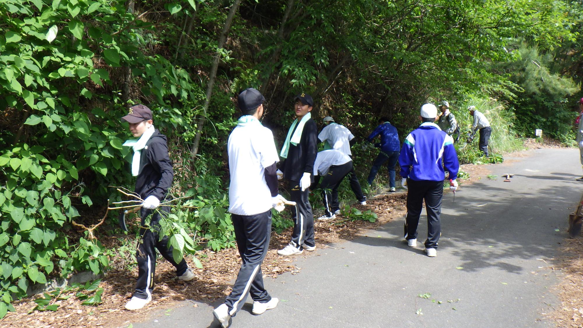 鎌を使って道端の草を刈っている参加者たちの写真