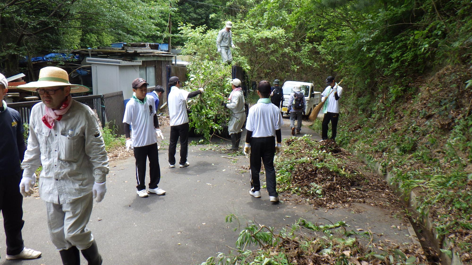 刈った草をトラックの荷台に載せている写真