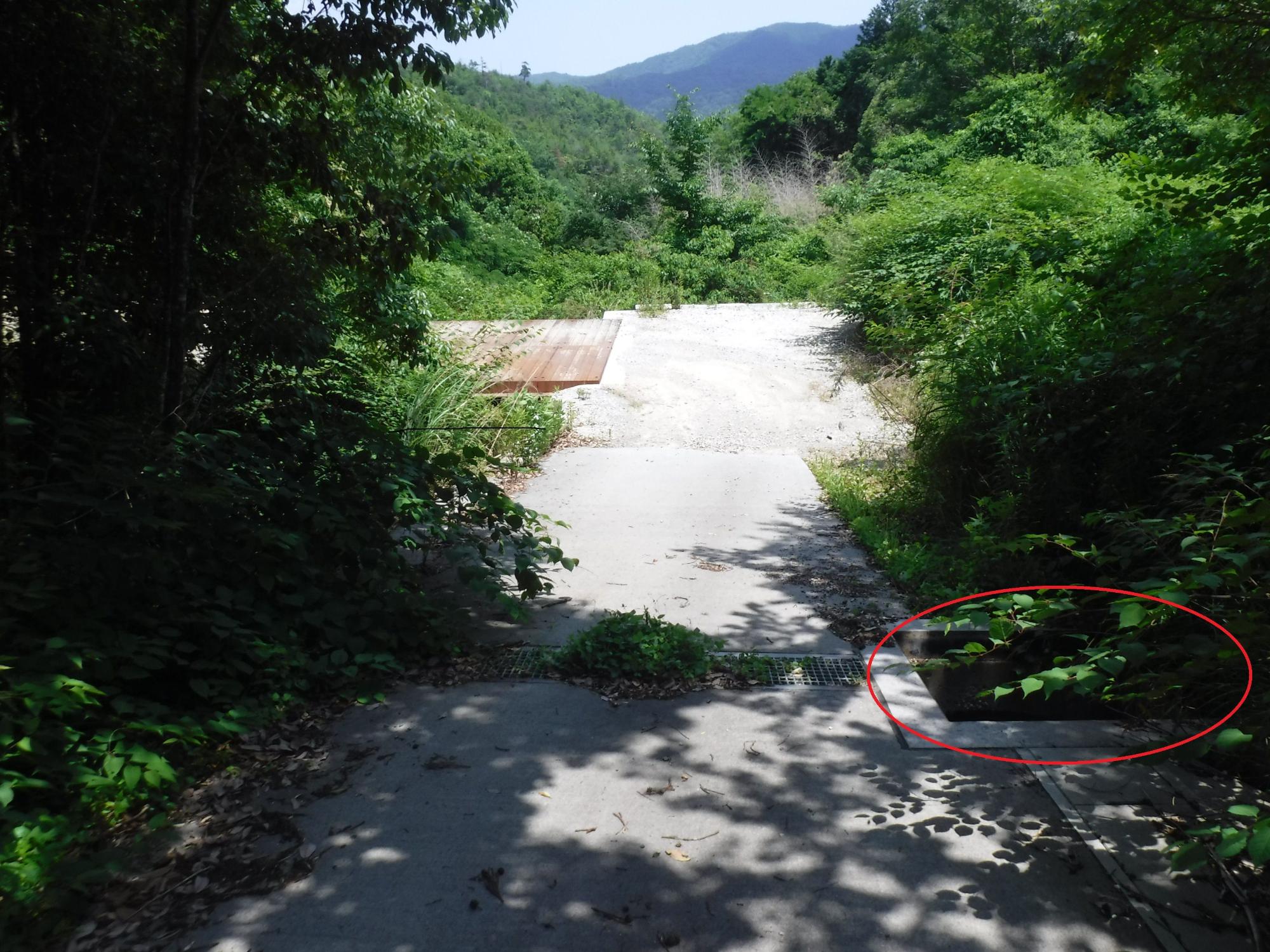 蓋のない集水桝に丸がつけられた道路の写真