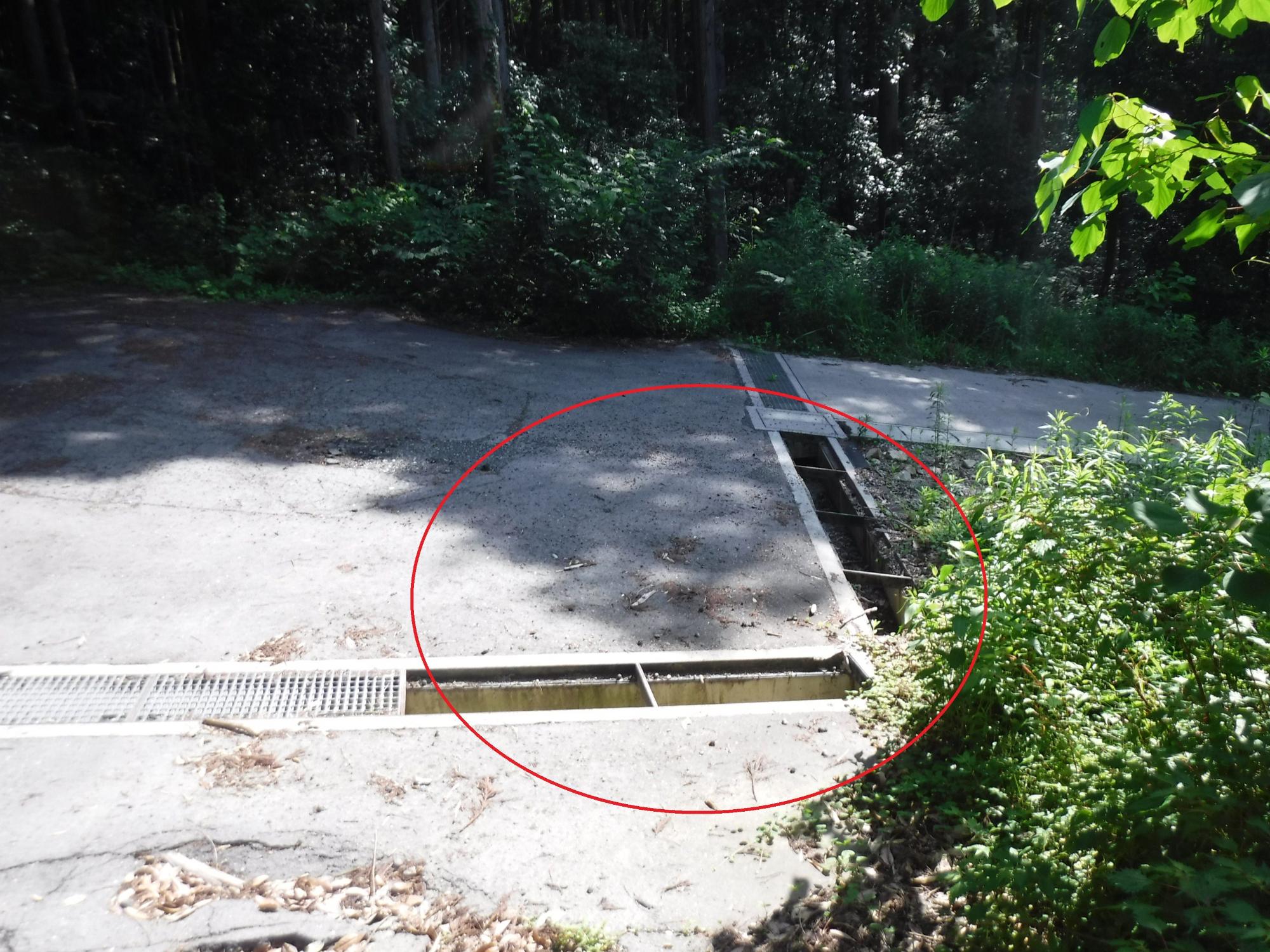 グレーチングのない側溝に丸のつけられた道路の写真