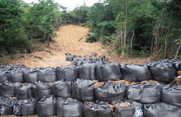 たくさんの黒い袋が見えて遠くに緑色の木々が見える写真