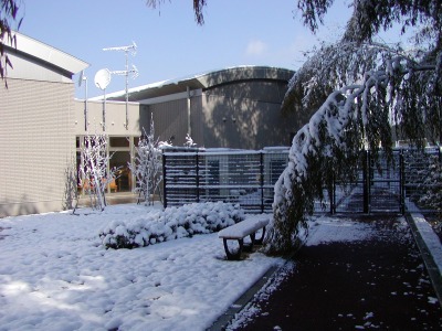 ベンチや植え込みに雪が積もっている写真