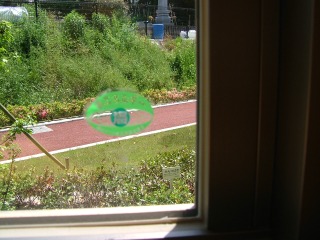 窓ガラスの右下に描かれた黄緑色と緑色の表示の写真