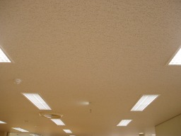天井の細長い照明が並んでいる様子の写真