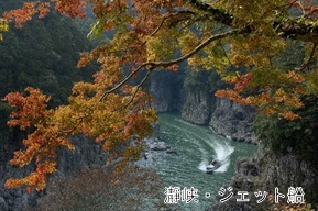 紅葉に彩られた「瀞峡」を颯爽と駆け抜けるウォータージェット船の写真