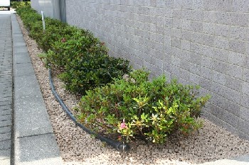 土を入れ替えきれいになった庁舎植樹帯の写真