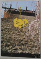 熊野町文化誌「郷」の表紙の写真