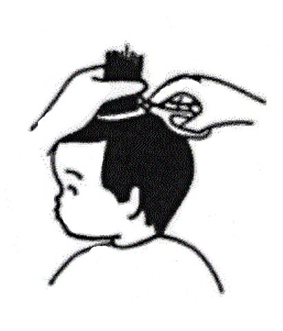赤ちゃんの髪の毛を指先でつまみながら上に上げて、5～8センチメートルのところでカットしようとしているイラストの写真