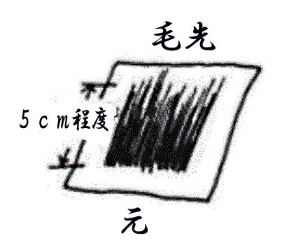 「毛先 5センチメートル程度 元」和紙の上に5センチメートル程度に切った毛先と元の髪をそろえて置いているイラスト